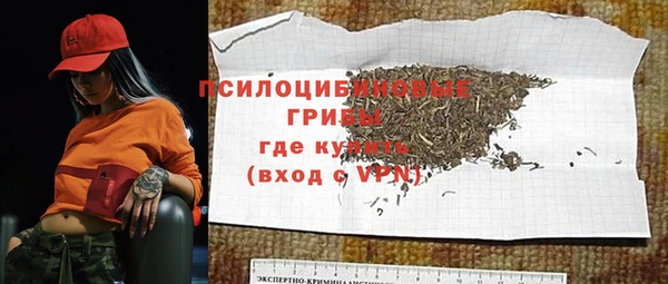 тгк Белокуриха