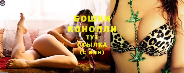 гидропоника Богородицк