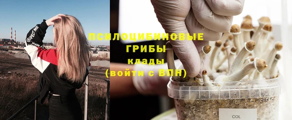 тгк Белокуриха